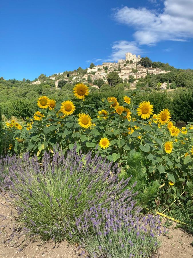 Les Cabanes De La Fontaine Lacoste  Εξωτερικό φωτογραφία
